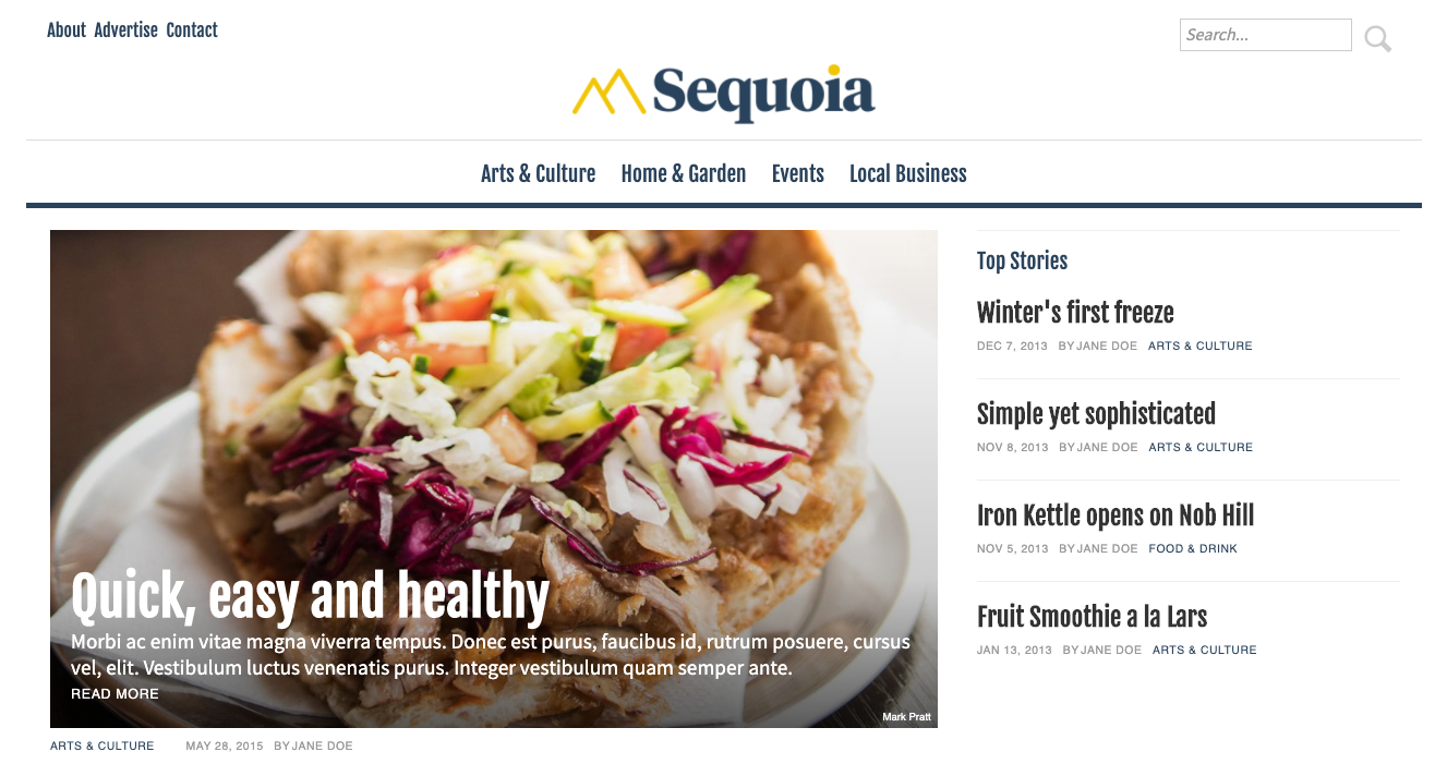 metro-publisher-sample-site-homepage.png