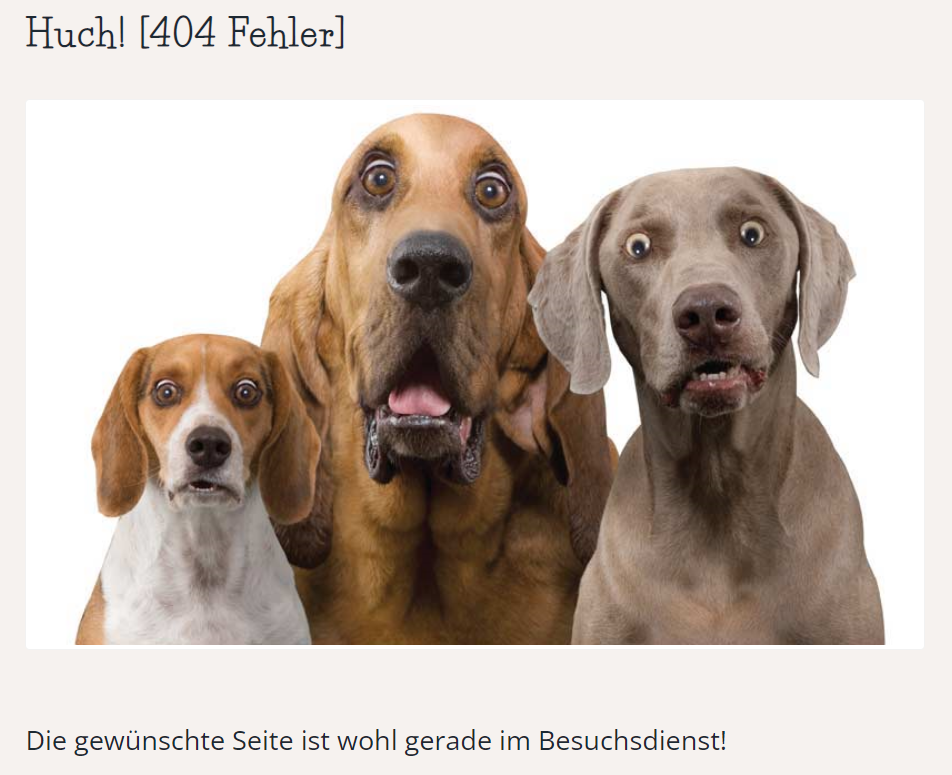 besuchspfoten-404-screenshot.png